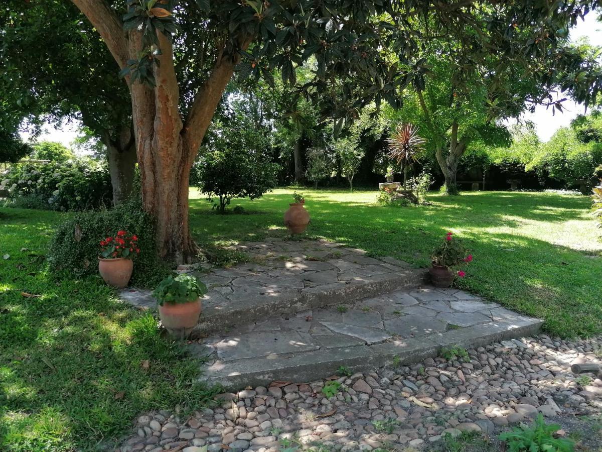 Quinta Da Torre Ξενοδοχείο Alpiarça Εξωτερικό φωτογραφία