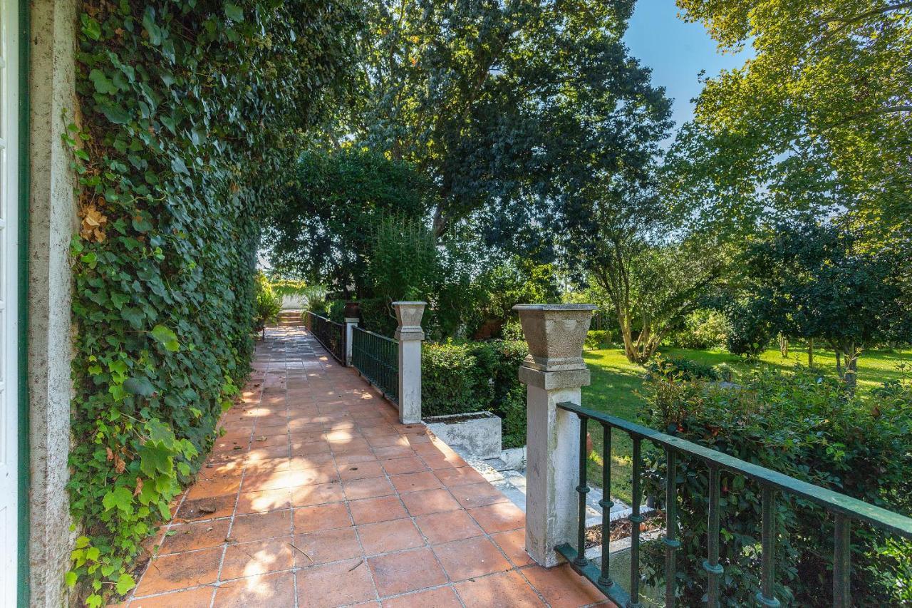 Quinta Da Torre Ξενοδοχείο Alpiarça Εξωτερικό φωτογραφία