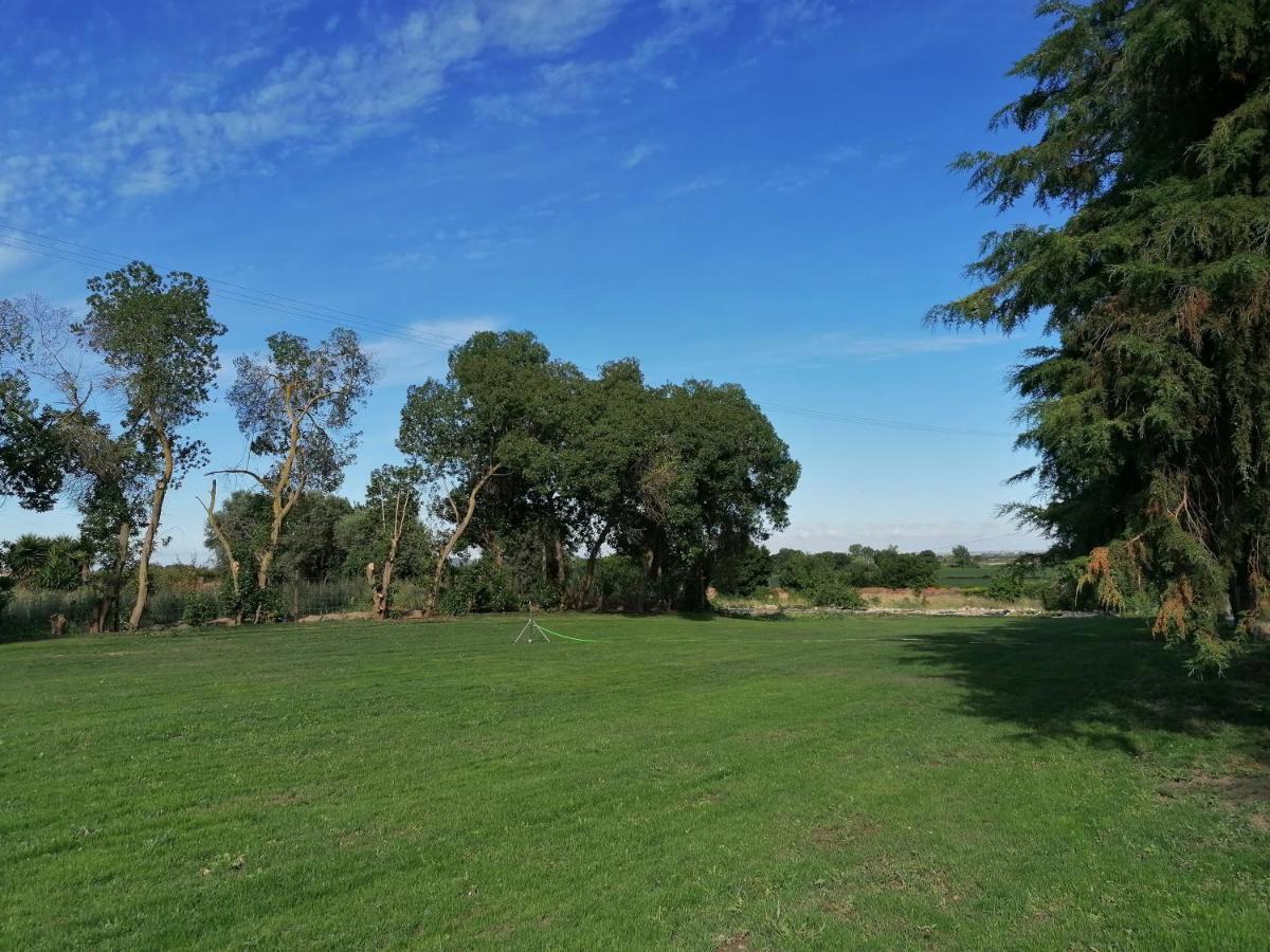 Quinta Da Torre Ξενοδοχείο Alpiarça Εξωτερικό φωτογραφία