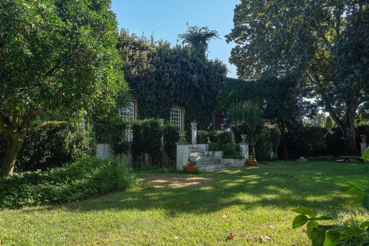 Quinta Da Torre Ξενοδοχείο Alpiarça Εξωτερικό φωτογραφία