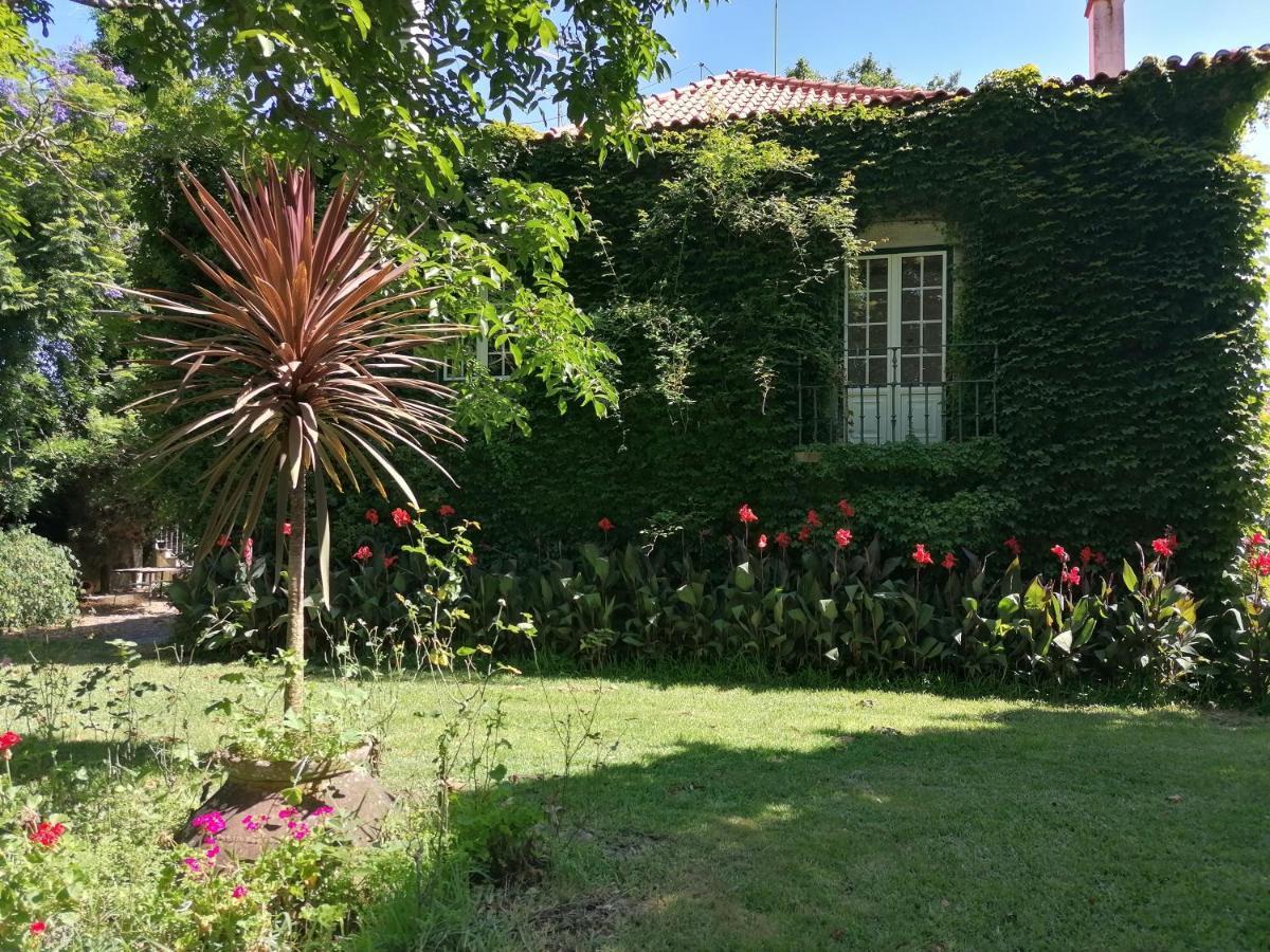 Quinta Da Torre Ξενοδοχείο Alpiarça Εξωτερικό φωτογραφία
