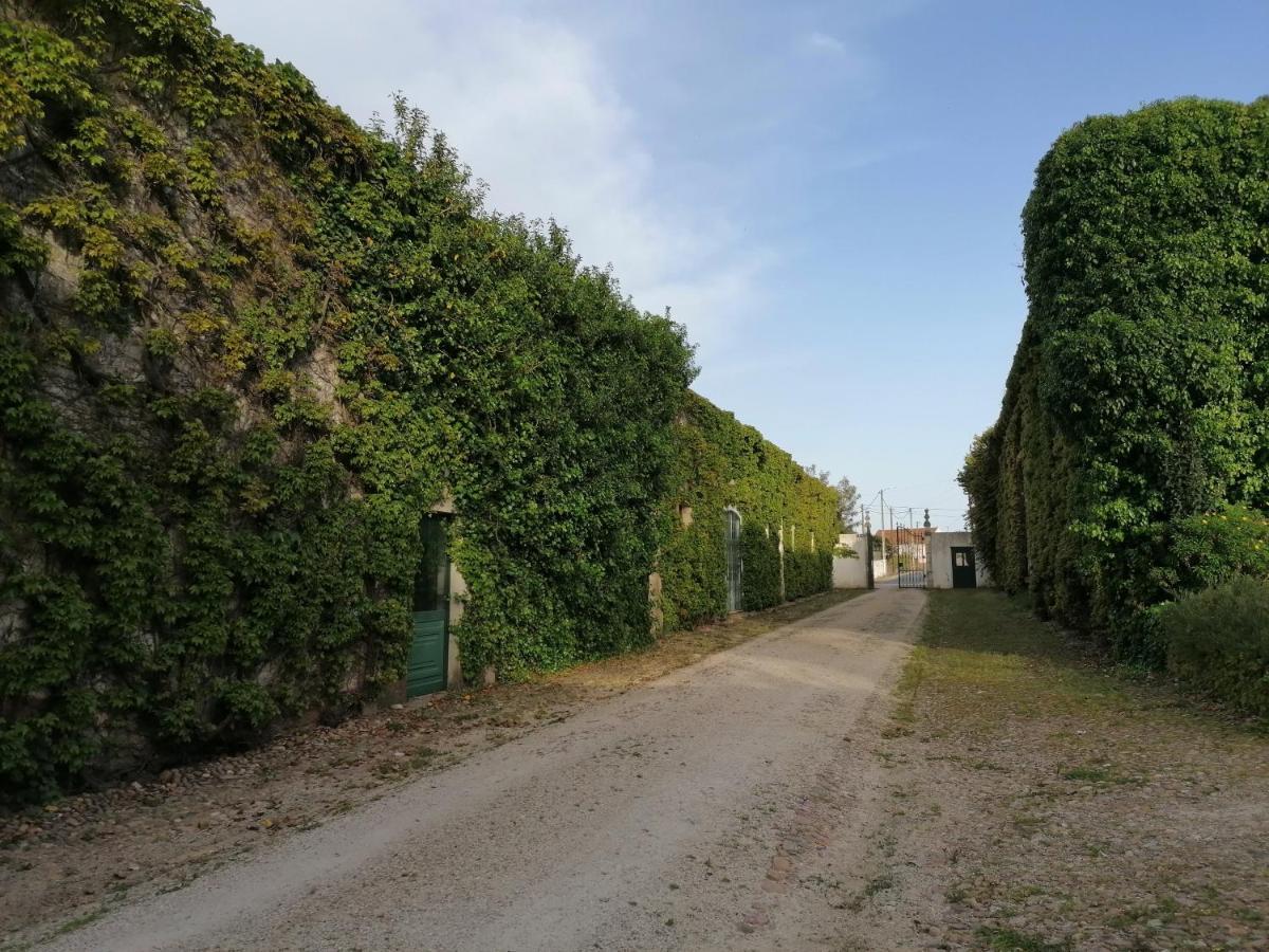 Quinta Da Torre Ξενοδοχείο Alpiarça Εξωτερικό φωτογραφία