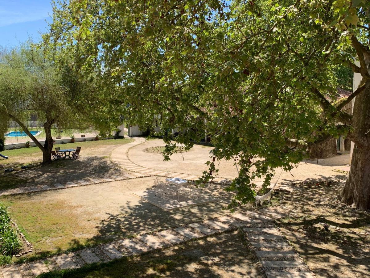 Quinta Da Torre Ξενοδοχείο Alpiarça Εξωτερικό φωτογραφία