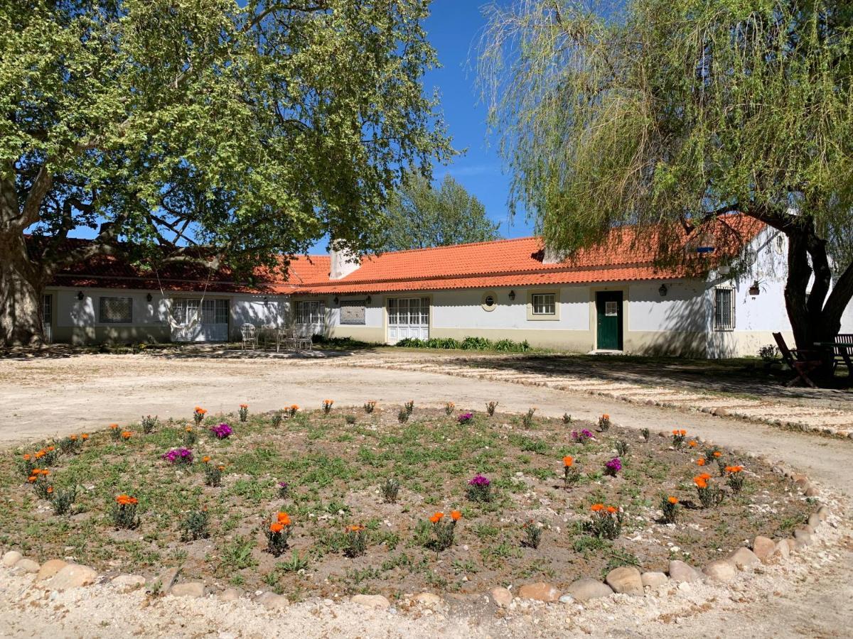 Quinta Da Torre Ξενοδοχείο Alpiarça Εξωτερικό φωτογραφία
