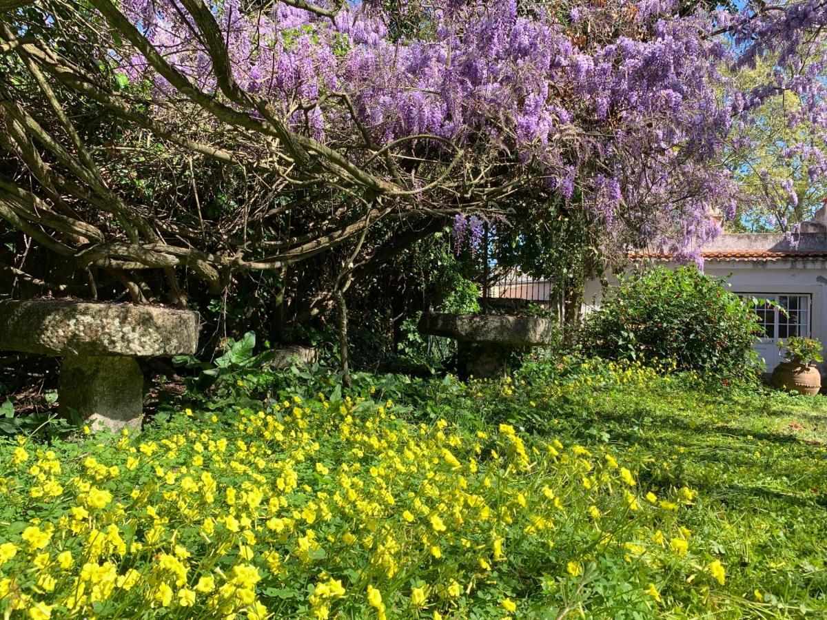 Quinta Da Torre Ξενοδοχείο Alpiarça Εξωτερικό φωτογραφία