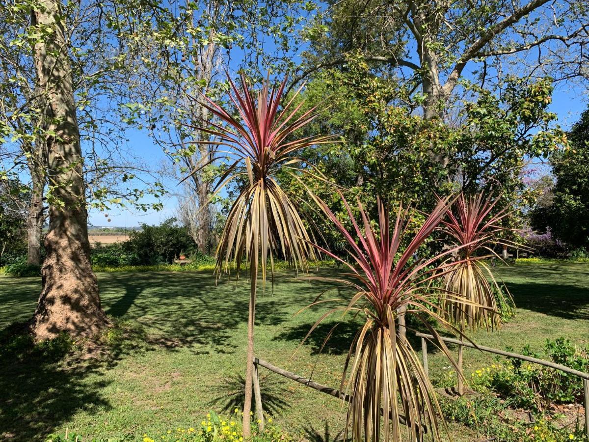 Quinta Da Torre Ξενοδοχείο Alpiarça Εξωτερικό φωτογραφία